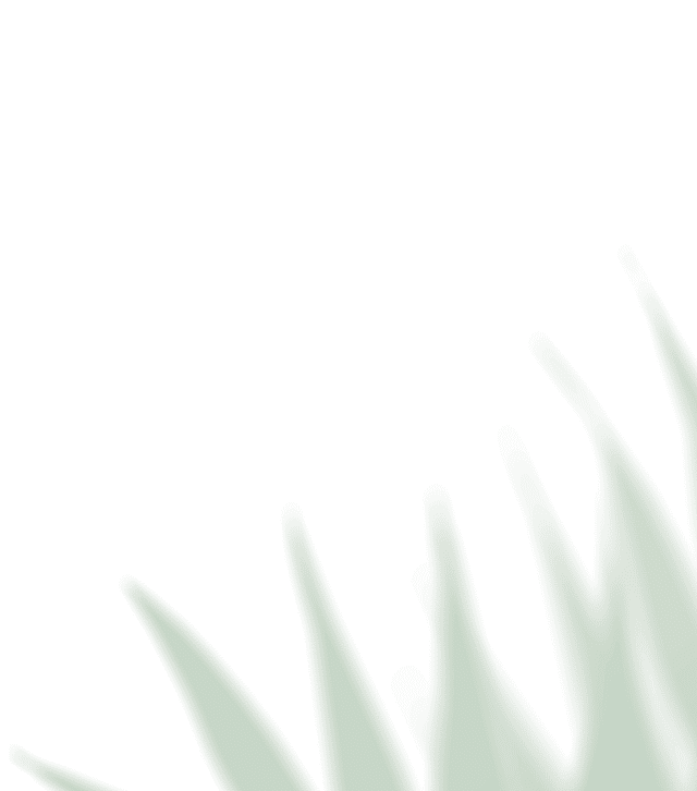 Cultivar