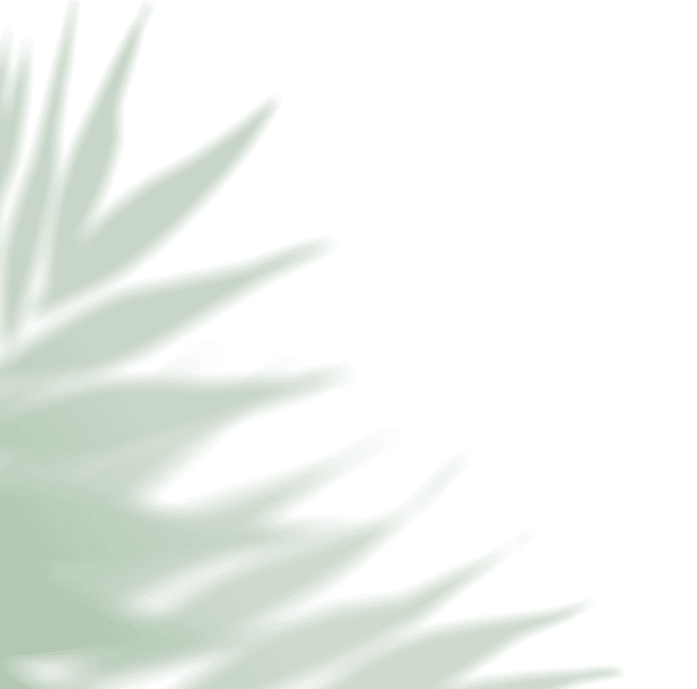 Cultivar